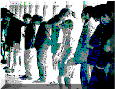 wpe1.gif (20595 bytes)