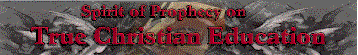 true christian education.gif (9855 bytes)